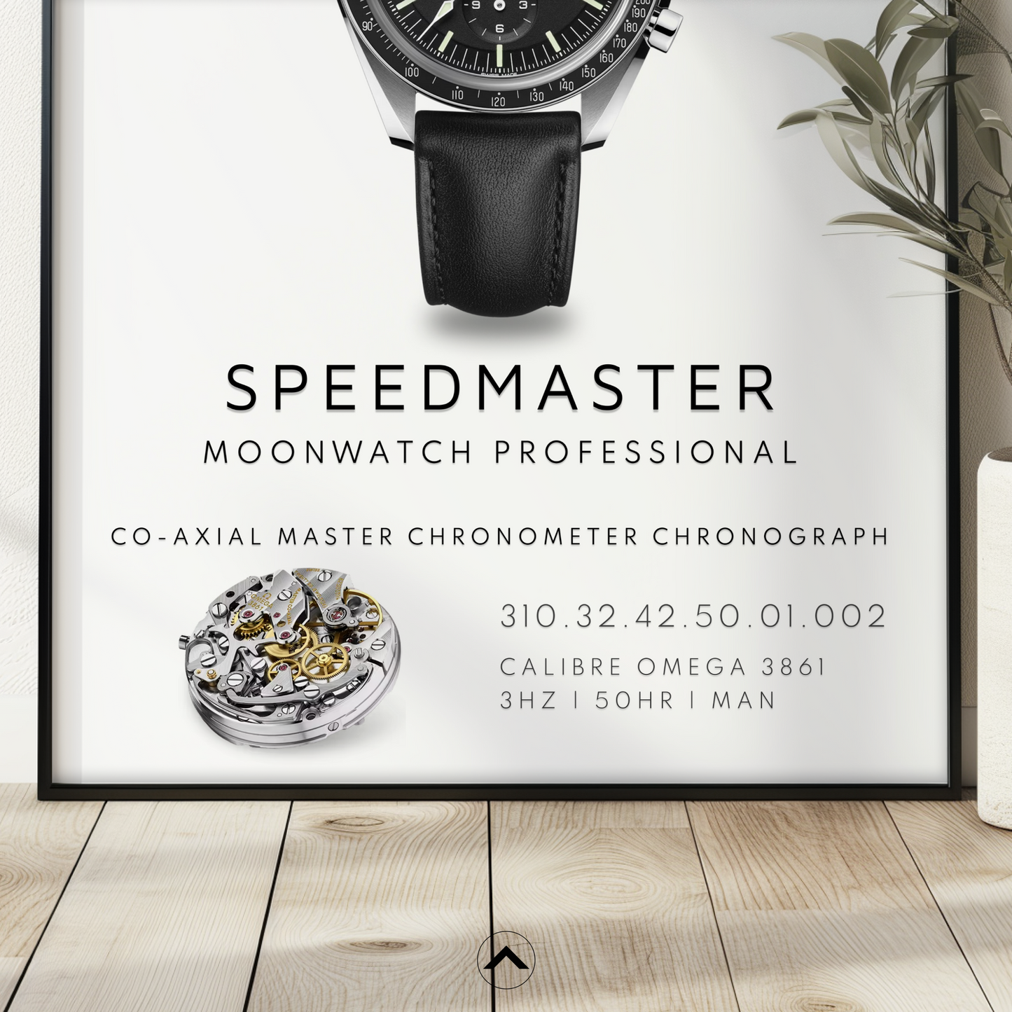 MOONWATCH PROFESSIONAL 310.32.42.50.01.002