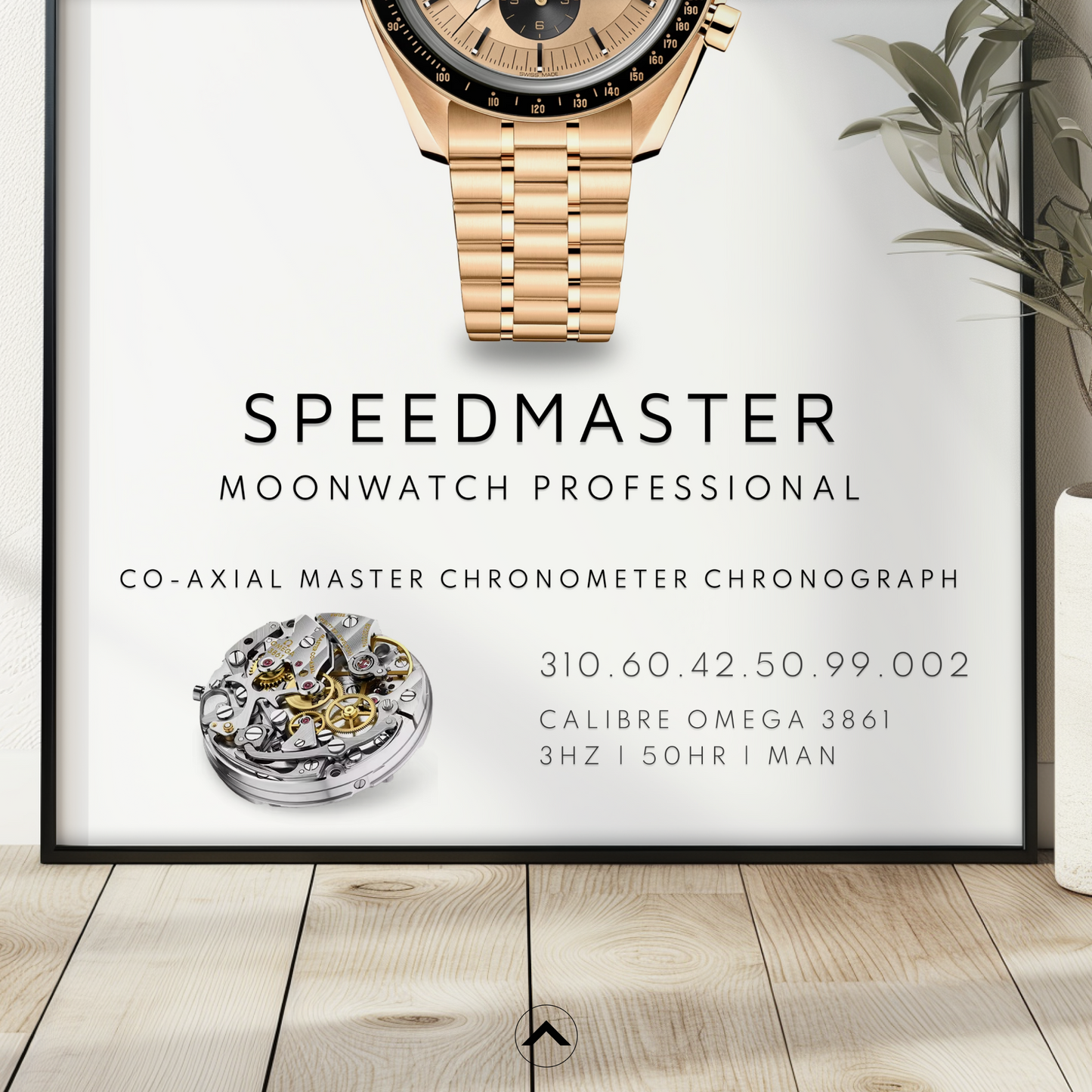 MOONWATCH PROFESSIONAL 310.60.42.50.99.002