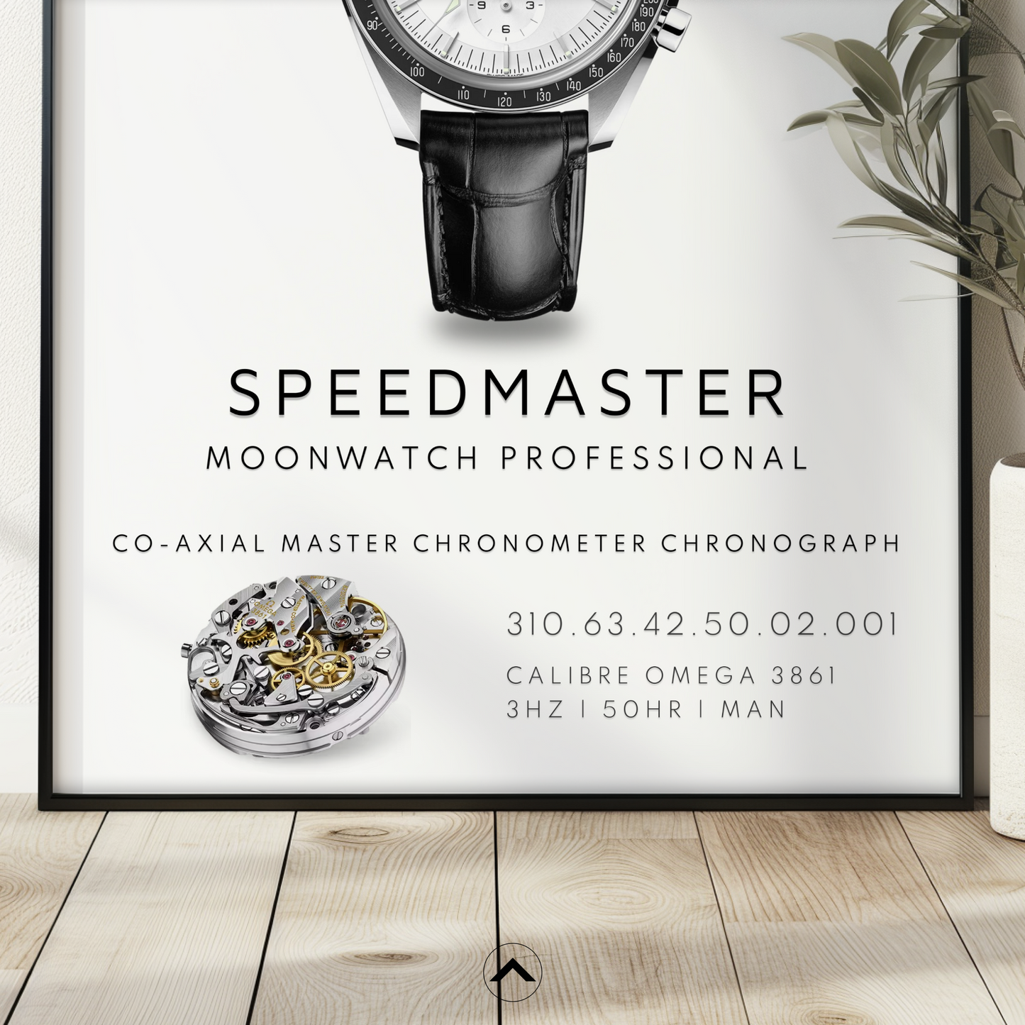 MOONWATCH PROFESSIONAL 310.63.42.50.02.001