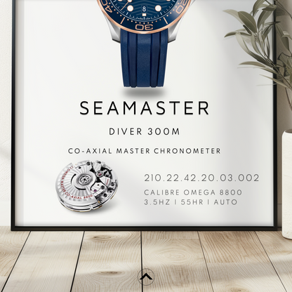 DIVER 300M 210.22.42.20.03.002