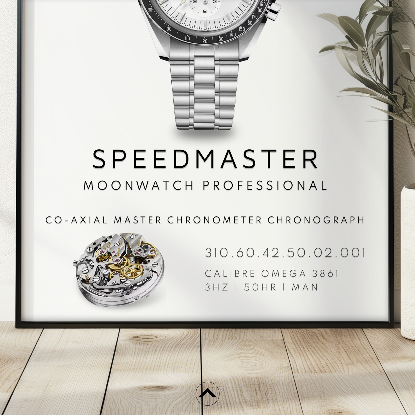 MOONWATCH PROFESSIONAL 310.60.42.50.02.001