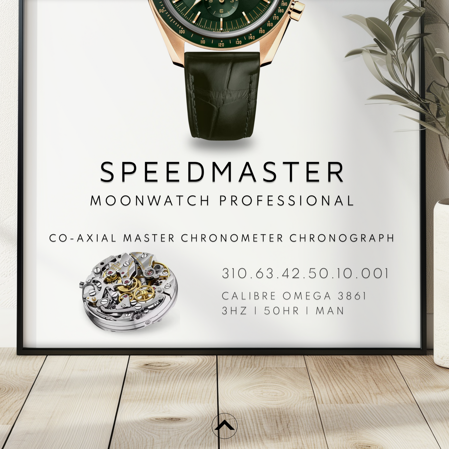 MOONWATCH PROFESSIONAL 310.63.42.50.10.001